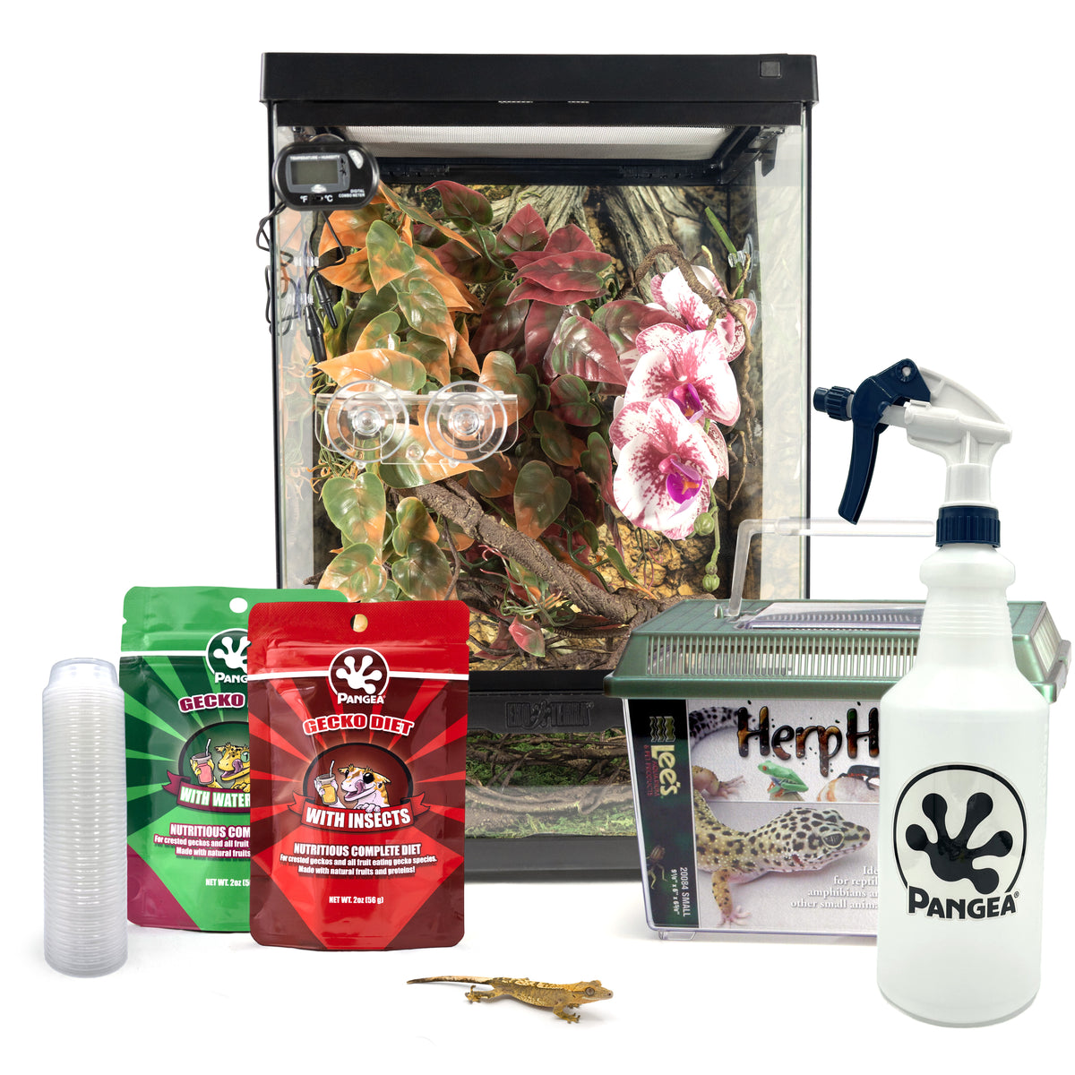 Complete Crested Gecko Kit with Free Gecko!