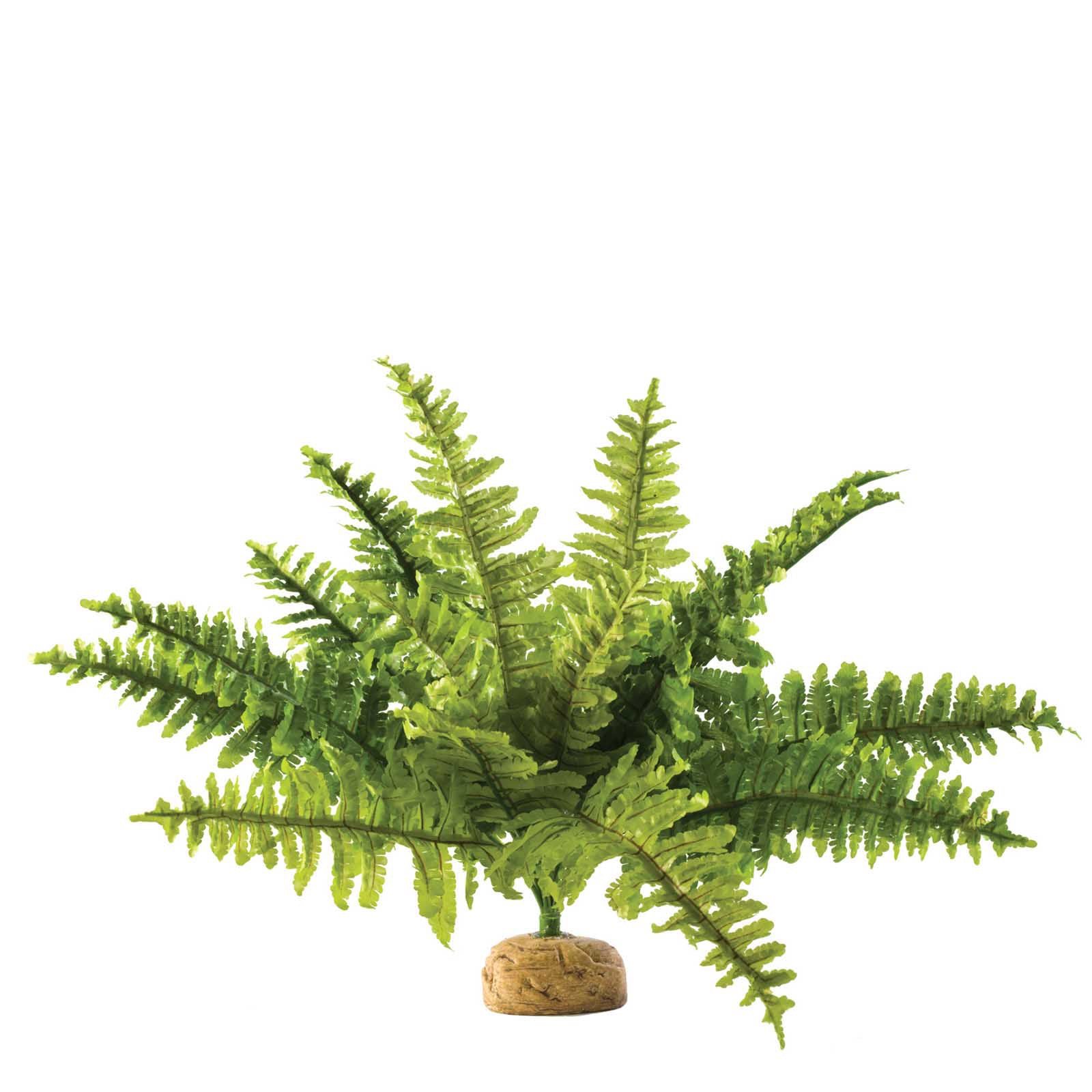rainforest plants for terrarium Exo Terra Rainforest Plants | Terrarium Decorations | Pangea reptile