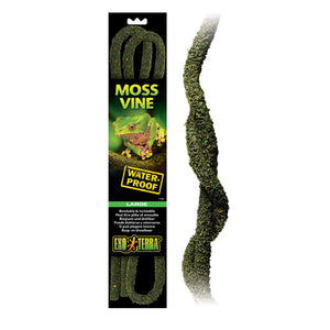 Exo Terra Moss Vines