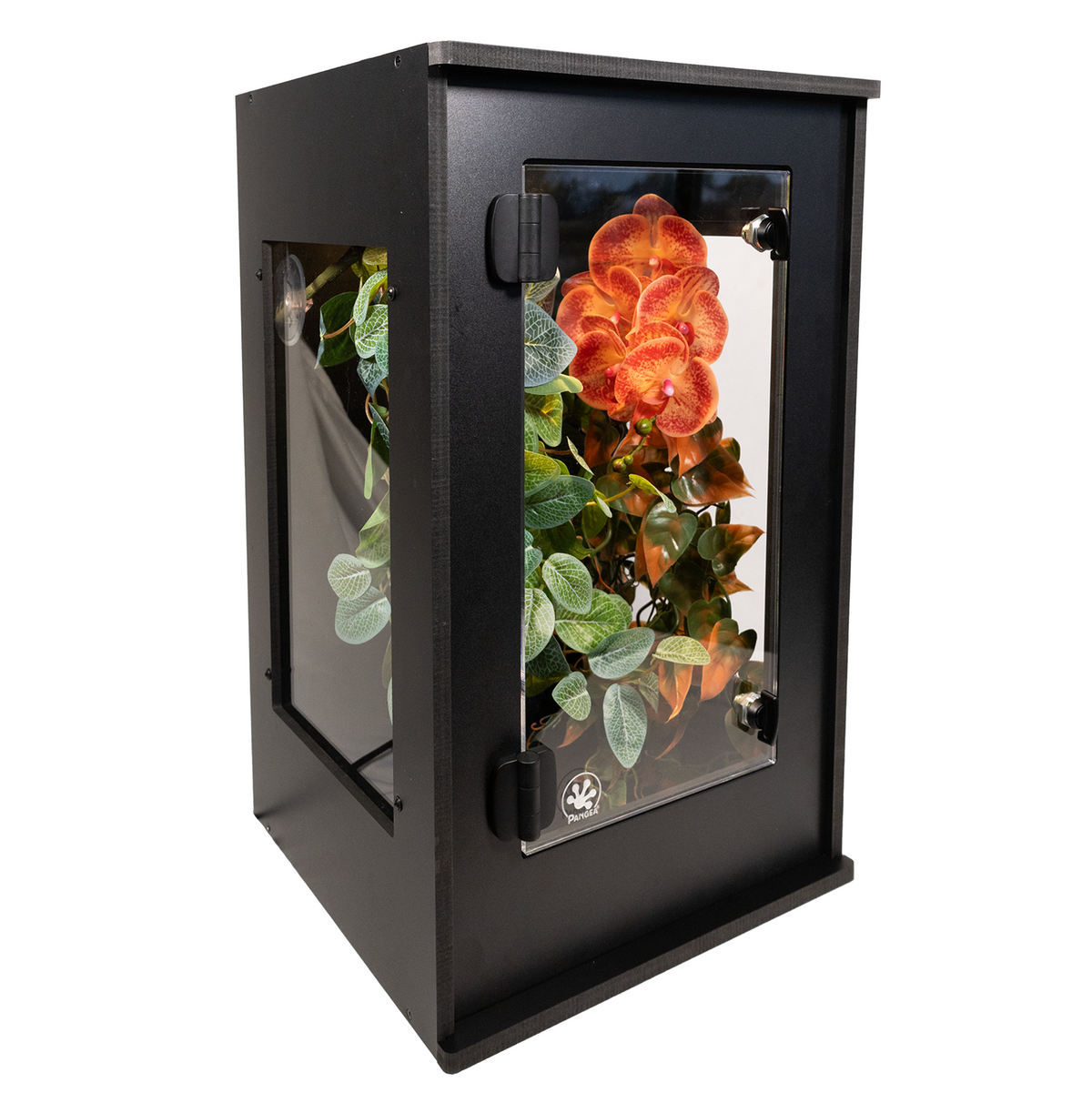 Pangea Small Arboreal PVC Enclosure Reptile Habitats Pangea Reptile