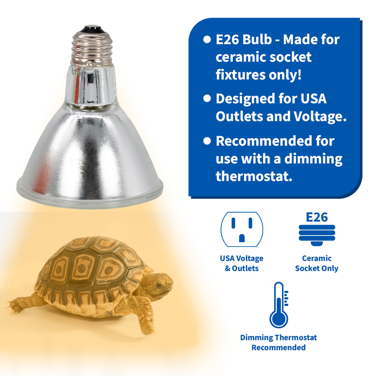 Additional information about Pangea Halogen bulb.