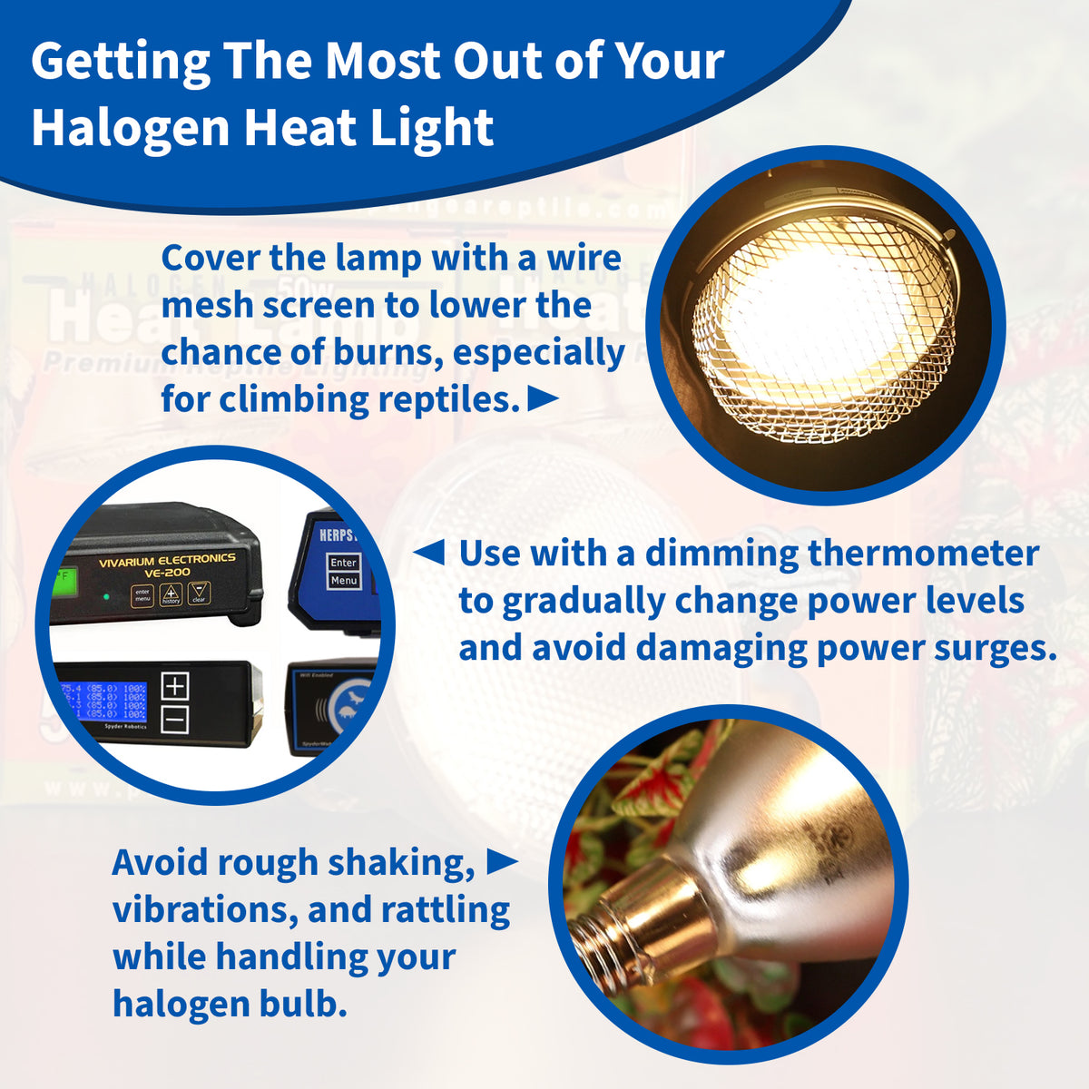 Getting the most from your Pagnea Halogen heat light bulb.