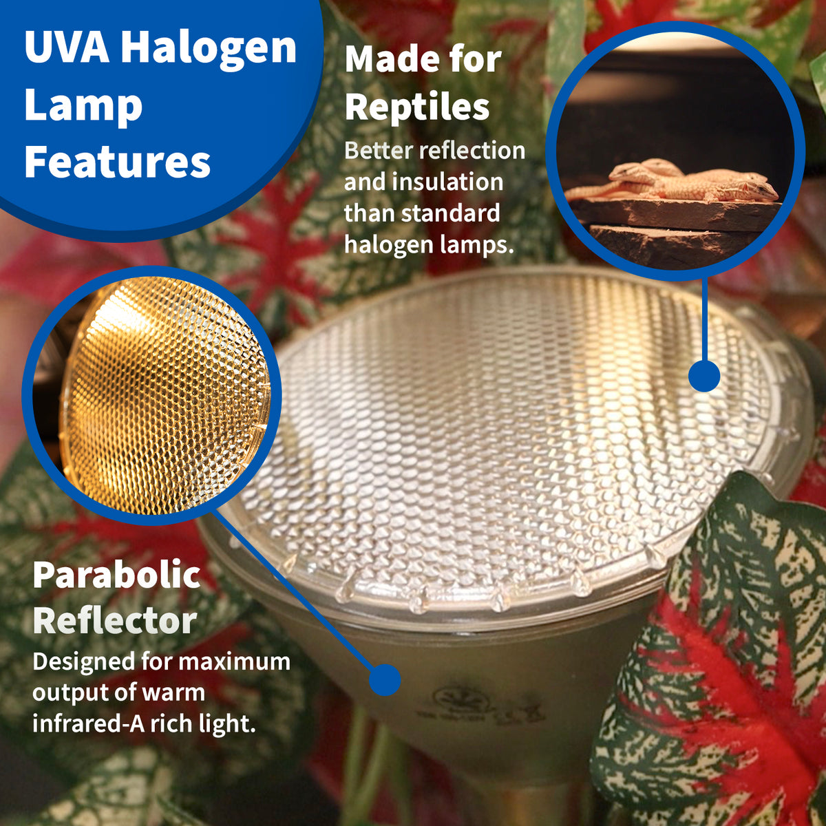 Pagnea Halogen lamp bulb features.