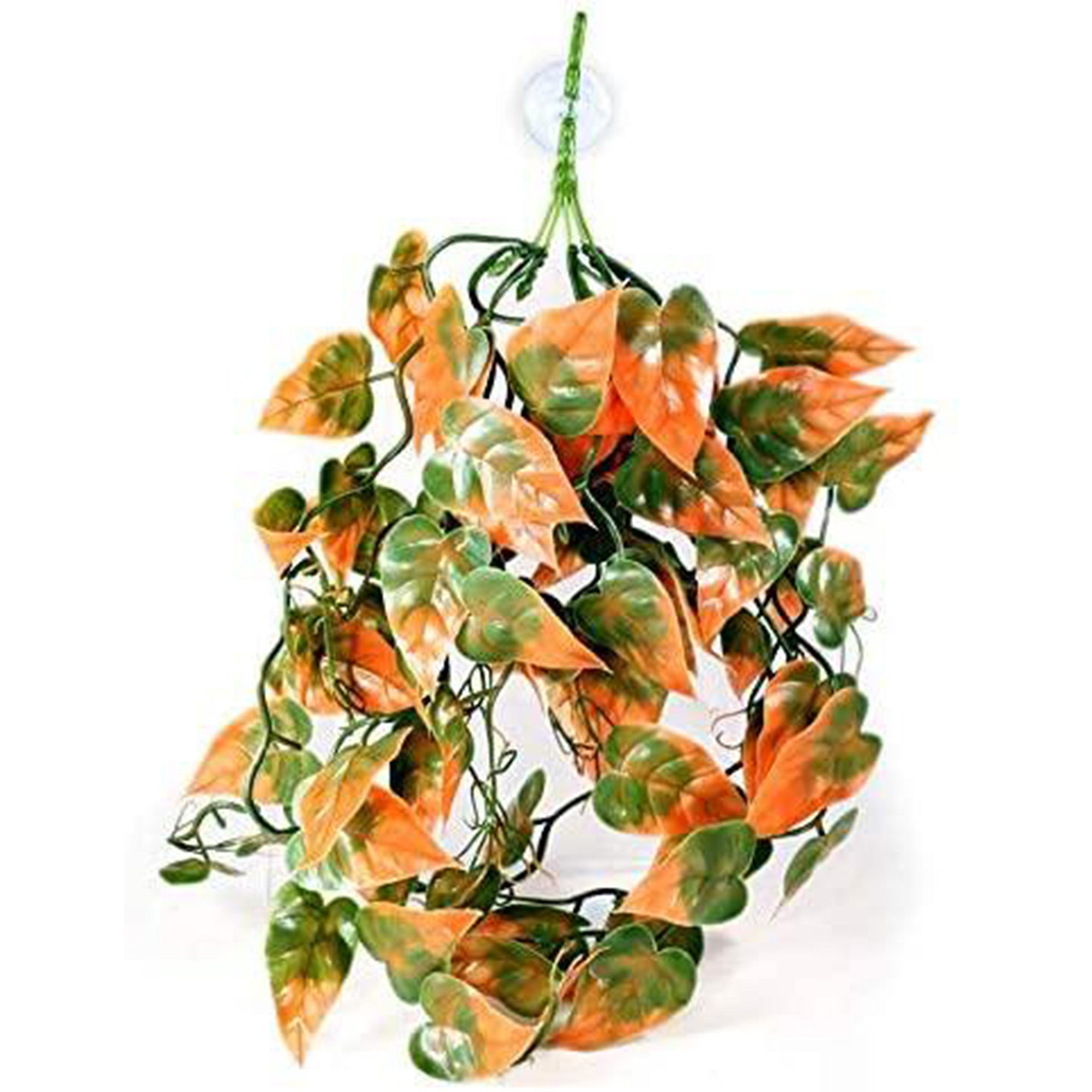 fake plants that hang Pangea Plants | Orange | Pangea Reptile