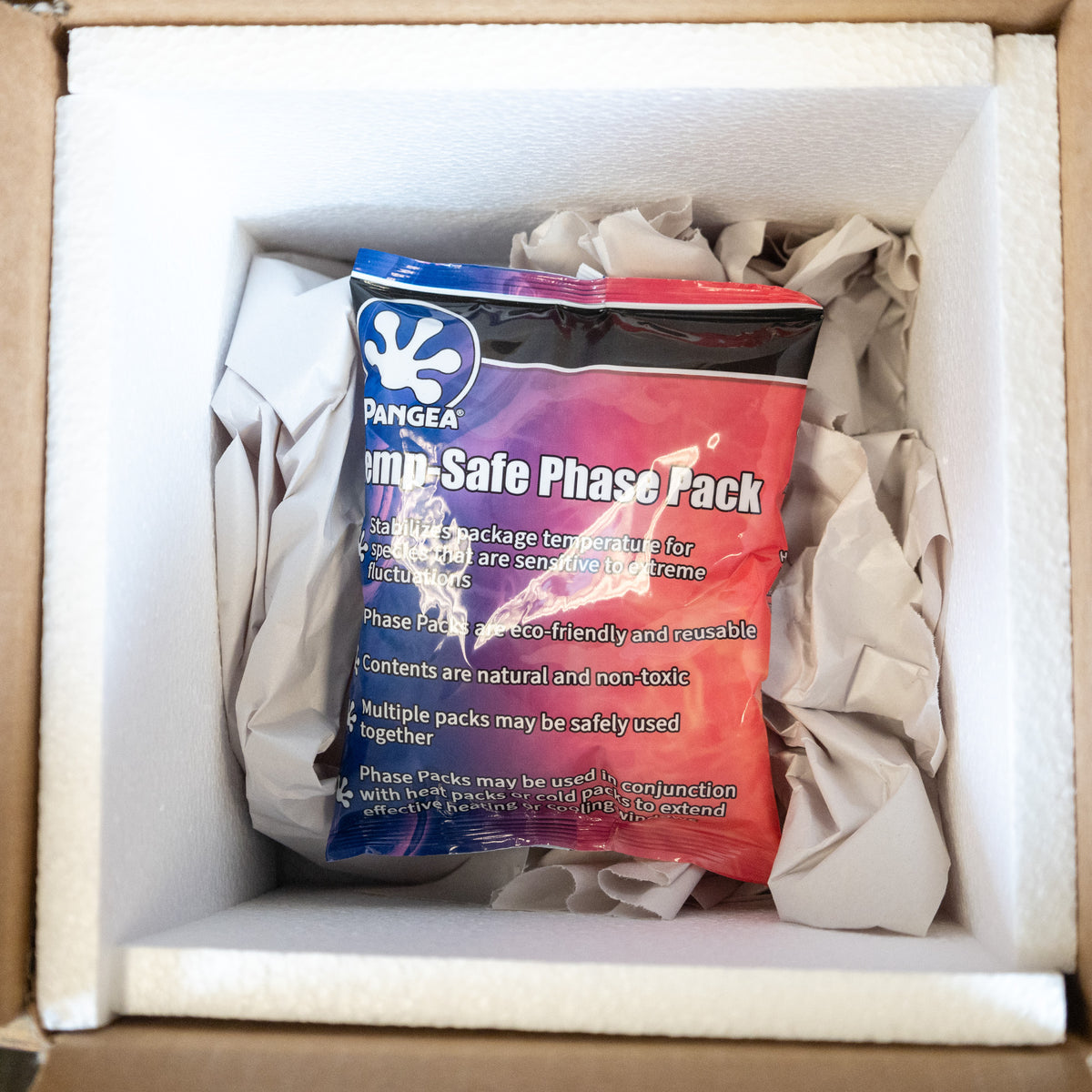 Pangea Temp-Safe Phase Pack - phase pack in shipping box on top of packing paper.