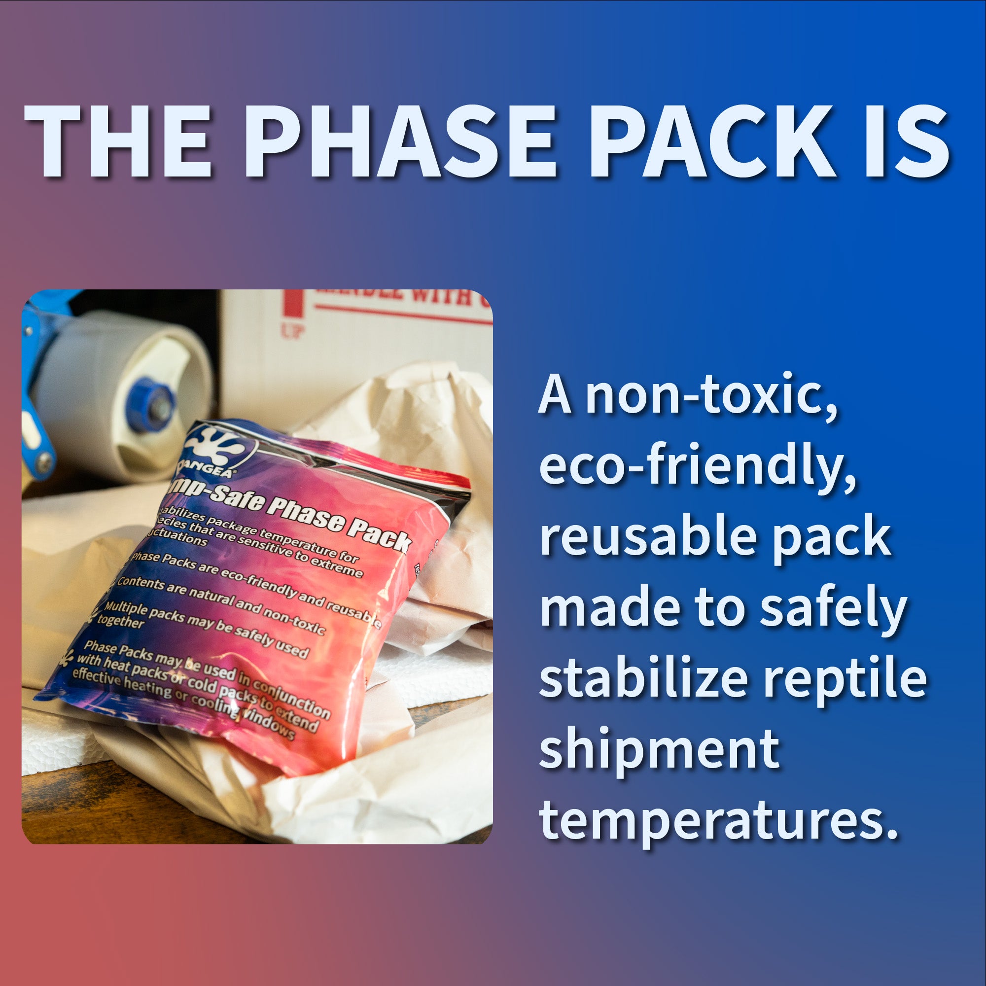 Curated visual reference: Visual Reference: Pangea Temp Safe Phase Pack Reptile Shipping Supplies