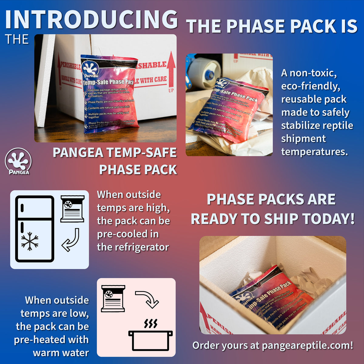 Pangea Temp-Safe Phase Pack - phase pack features recap slide.