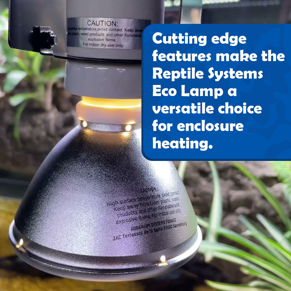 Lifestyle image of Reptile Systems Eco Lamp showcasing the lamp unit activated in a terrarium fixture