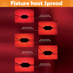 Top down images of the heating diameter of reptile systems gold infrared heat lamp on a red background