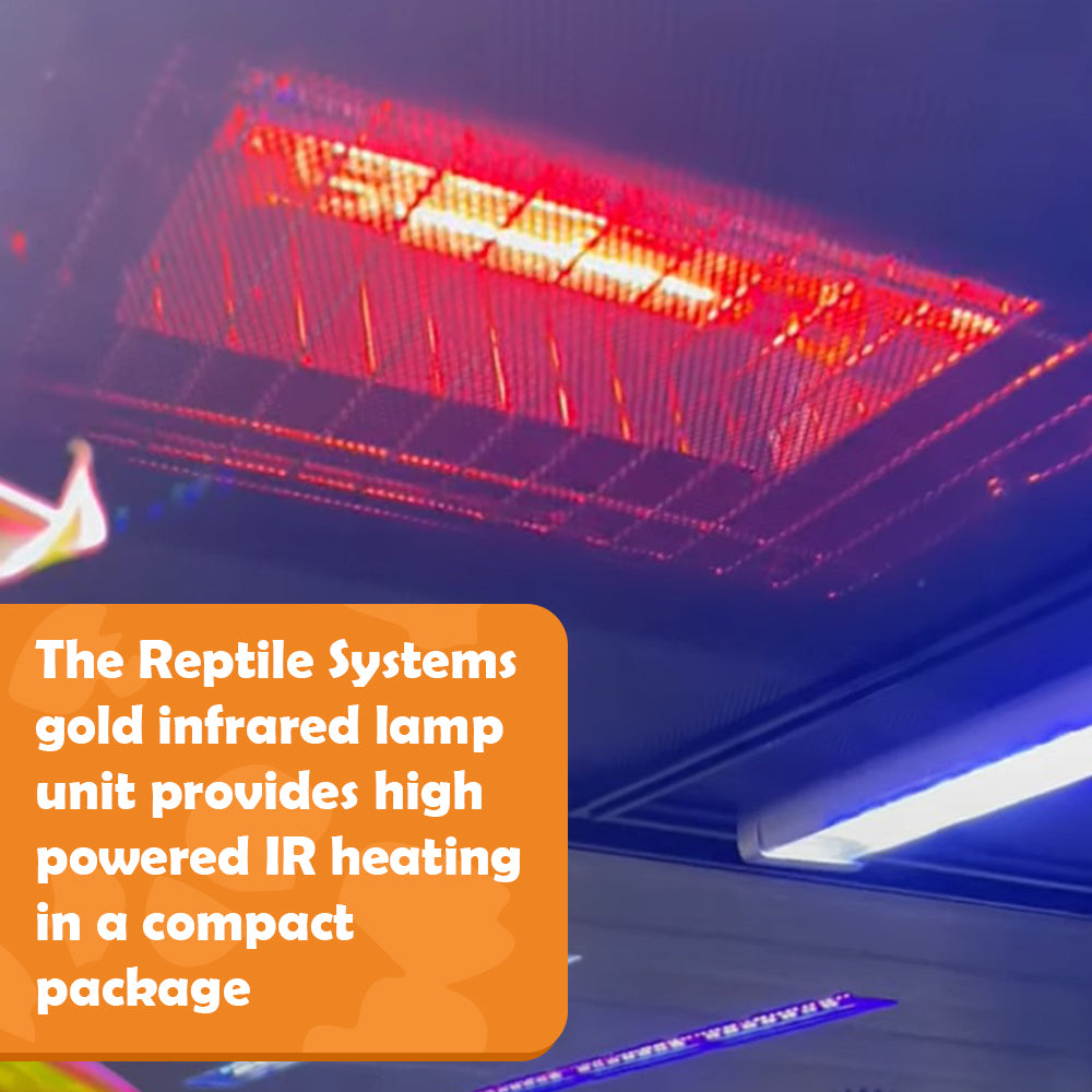 Lifestyle image of Reptile systems gold infrared heat lamp unit being used in an enclosure