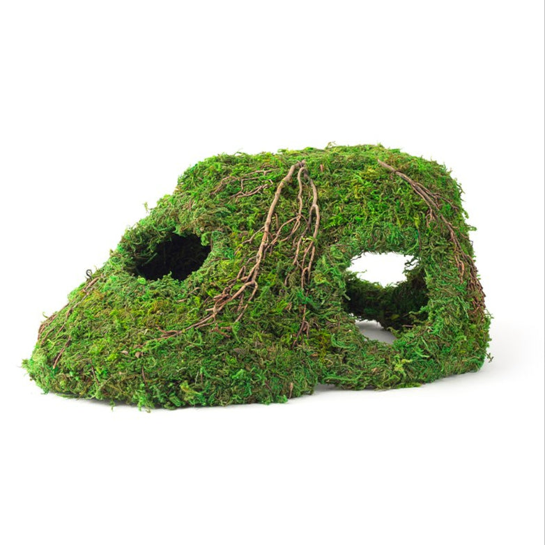 Galápagos Sapa Corner Hide