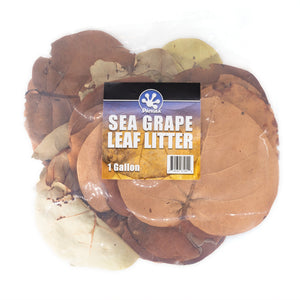 Sea Grape Leaf Litter Gallon