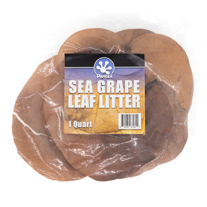 Sea Grape Leaf Litter Quart