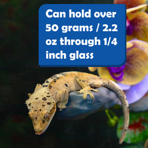 Pangea Eco Ledge - Magnetic Silicone Gecko Food Ledge