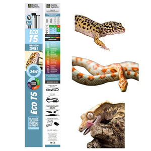 Reptile Systems Eco Pro T5 Fixture - 2.4% UVB - Zone 1