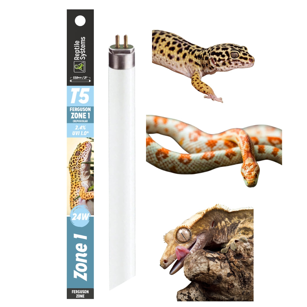 Reptile Systems 2.4% UVB  - Zone 1 - T5 Bulb