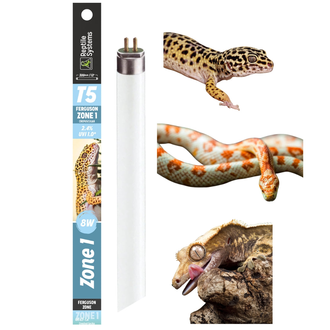 Reptile Systems 2.4% UVB  - Zone 1 - T5 Bulb