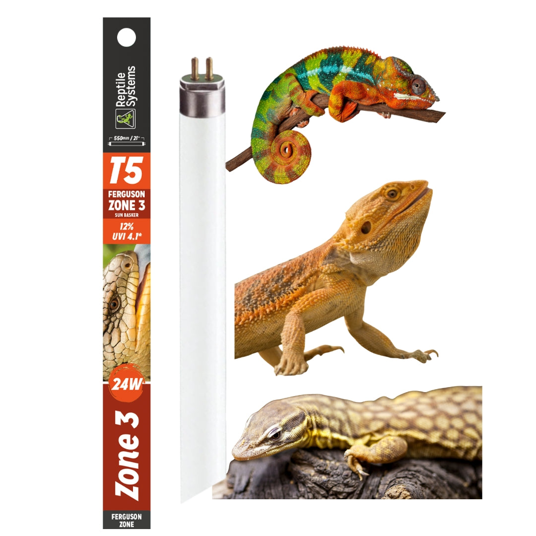 Reptile System 12% UVB - Zone 3 - T5 Bulb