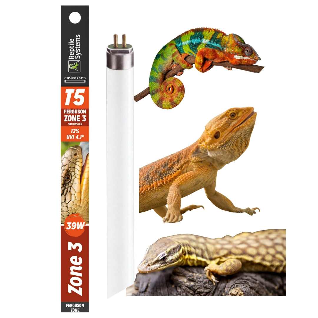 Reptile System 12% UVB - Zone 3 - T5 Bulb
