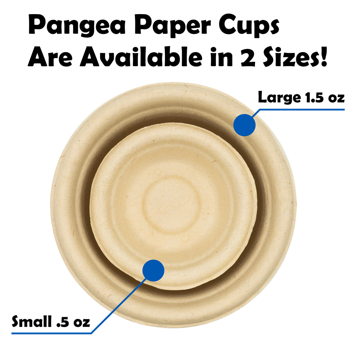 Two paper gecko feeding cups labeled 'Small .5 oz' and 'Large 1.5 oz' with text indicating availability