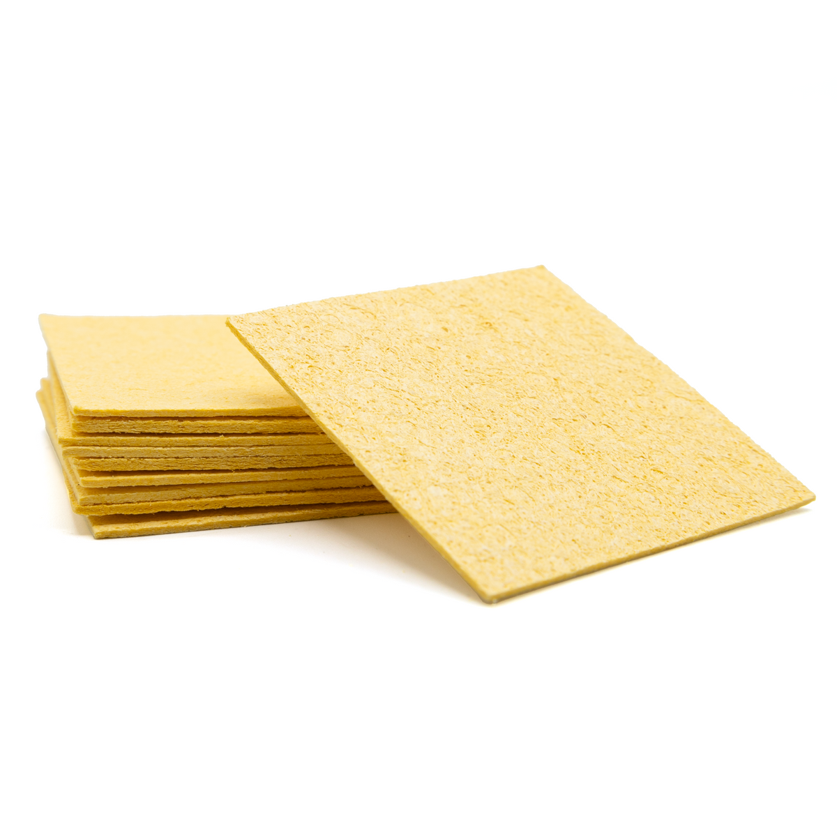 Humidity Hide Sponges | Pangea Reptile - Pangea Reptile LLC