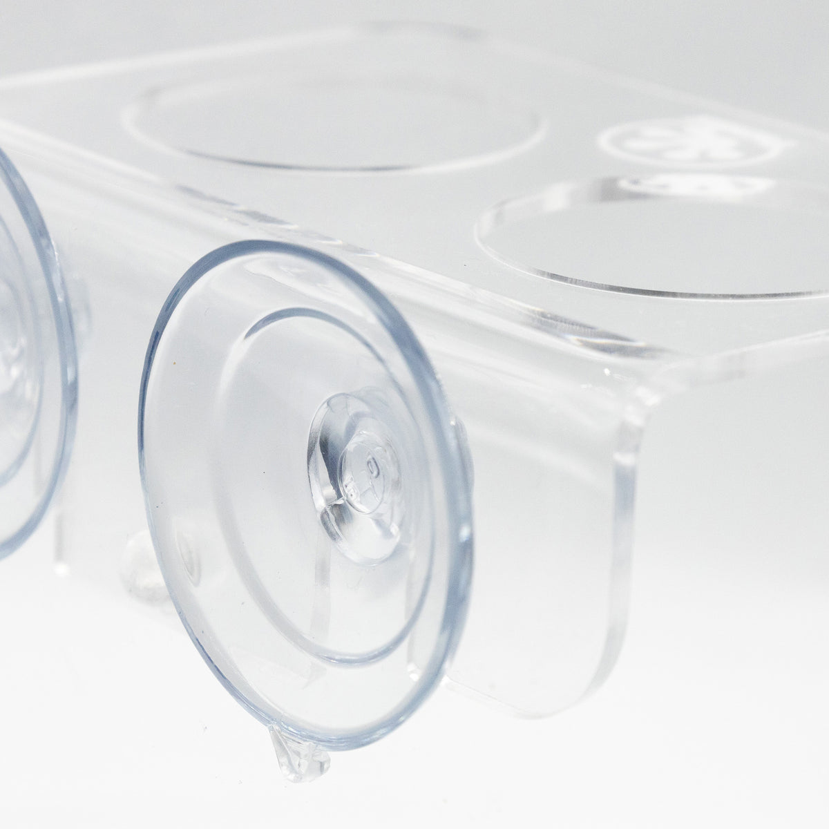 Pangea Suction Cup Gecko Ledge Small - close up on suction cup details.