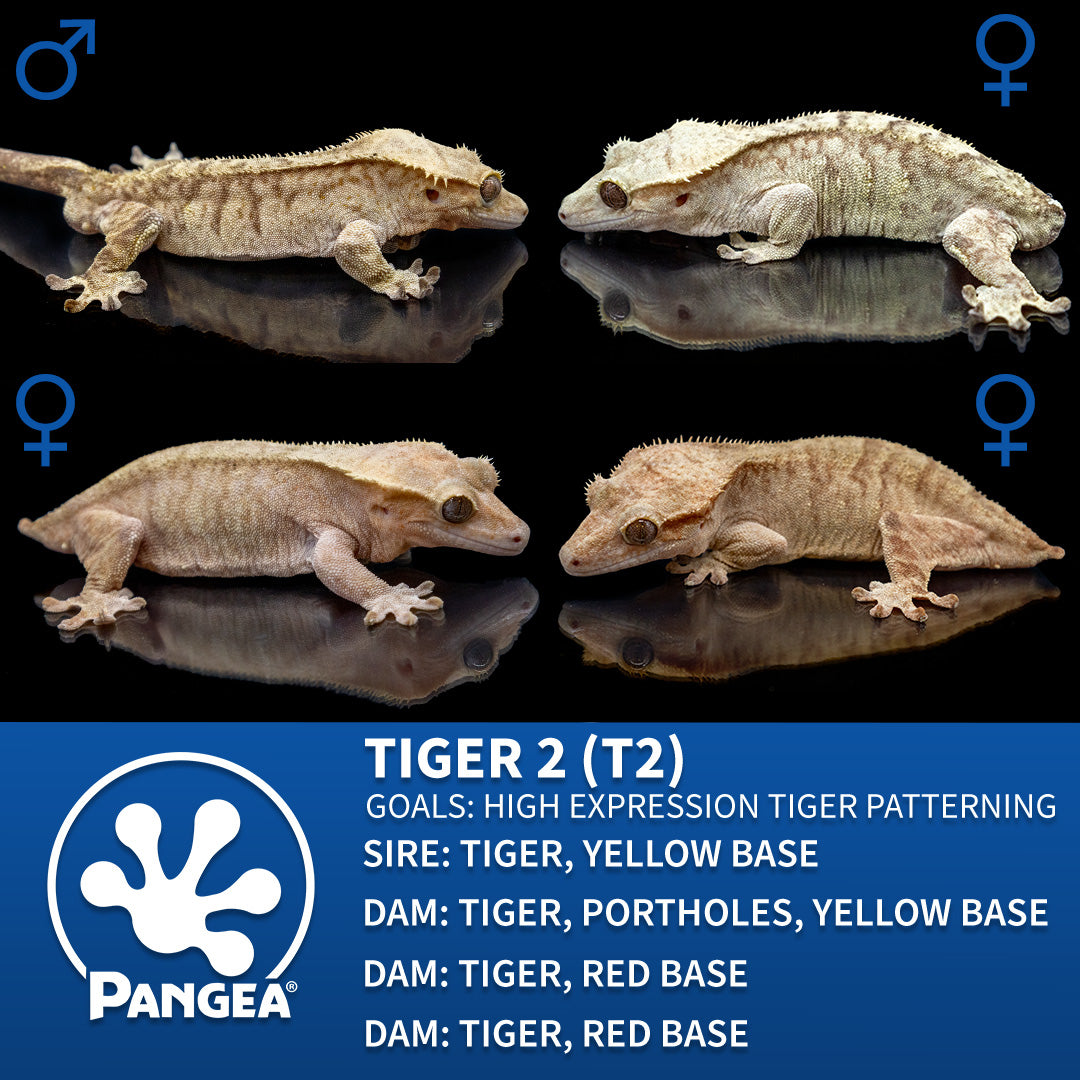 Cr-2855 breeder group