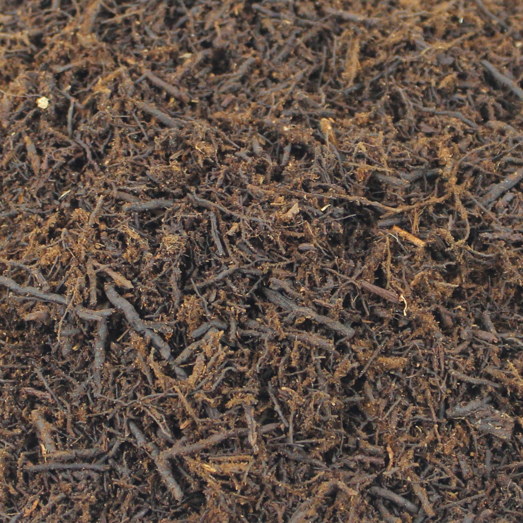 tree fern potting mix Pangea Tree Fern Fiber