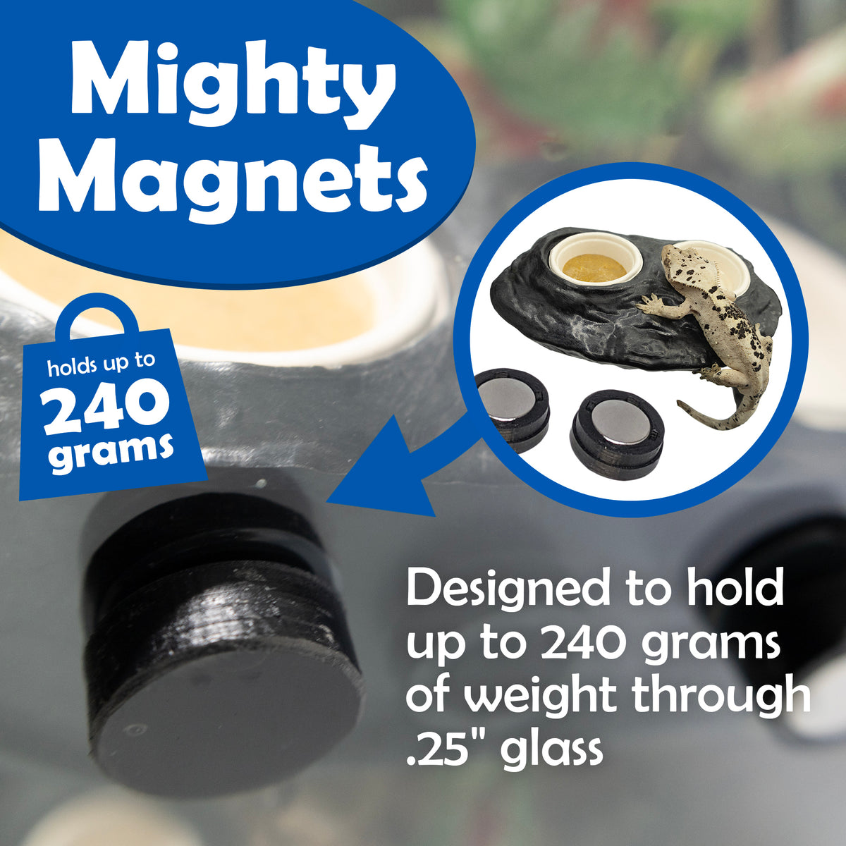 Pangea Ultimate Gecko Ledge - Magnetic