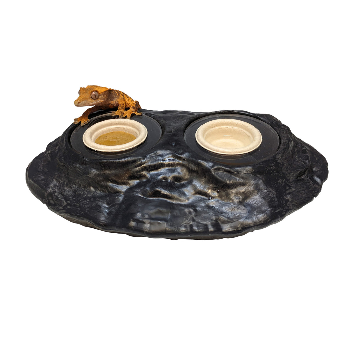 Pangea Ultimate Ledge  - with cute gecko, small bowls and adapters.