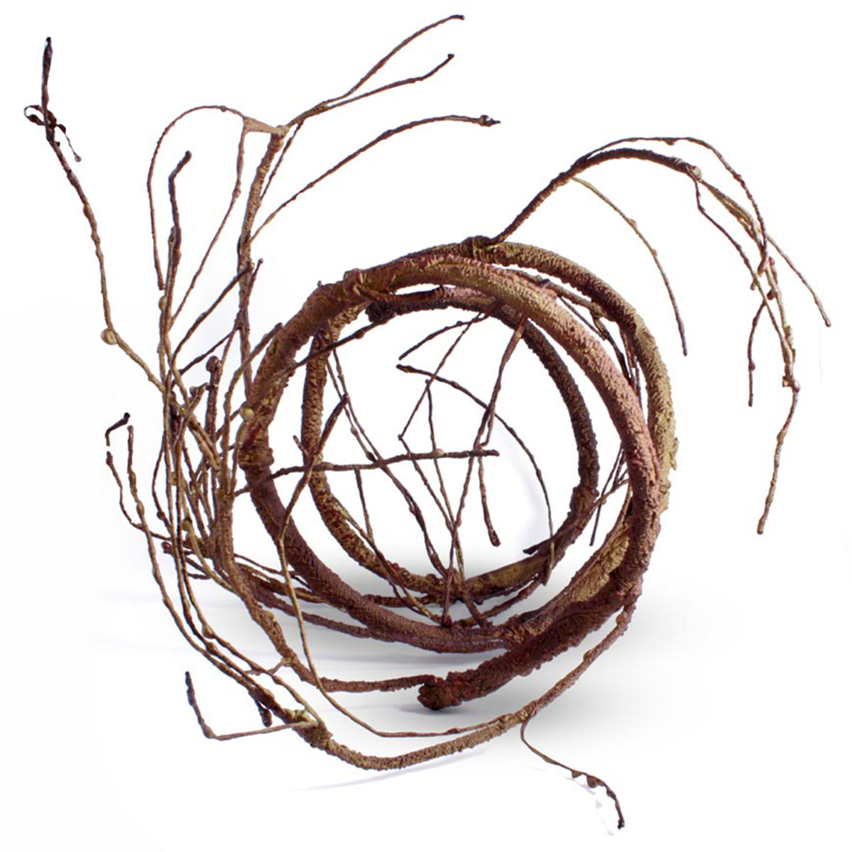 Pangea Ultimate Vine Brown wound up