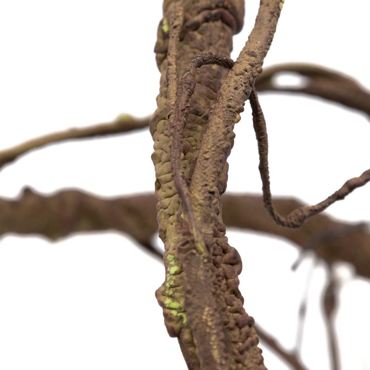 Pangea Ultimate Vine Brown close up