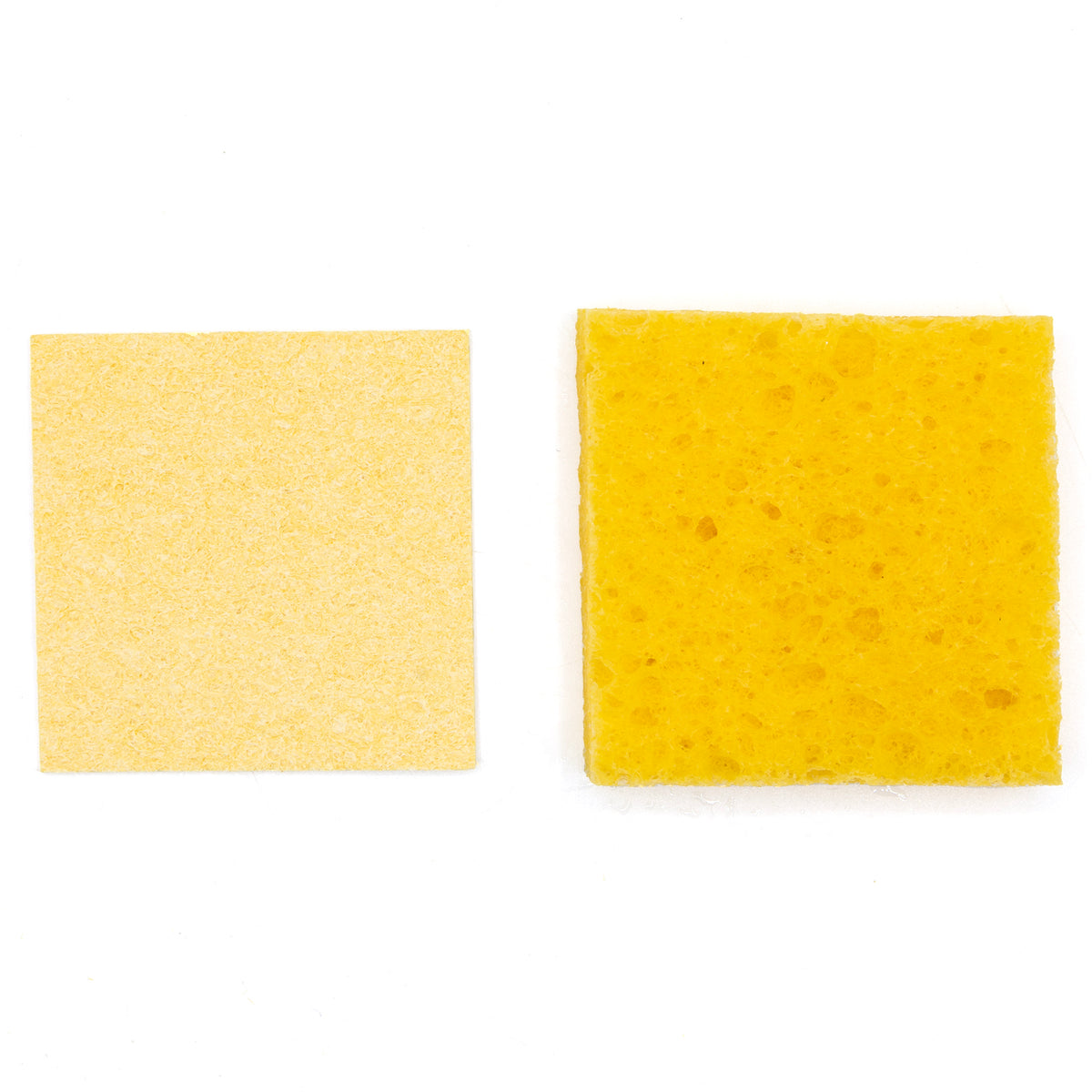 Pangea Hide Box Humidity Sponges (10 Pack)