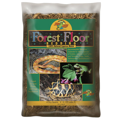 Zoch Chickwood Forest – Kartenspiel Für 2-5 Spieler Ab 12 Jahren, Ca. 45 Min.