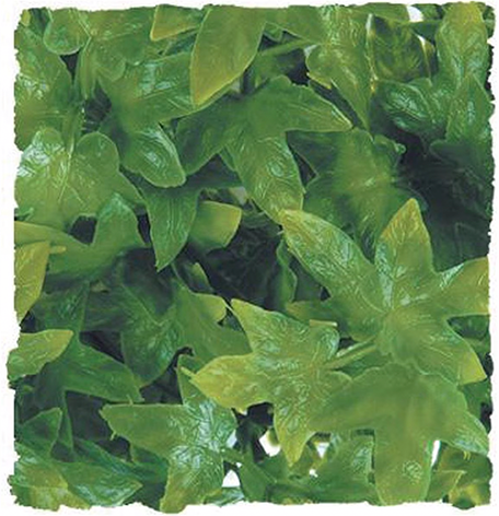 hanging aquarium plants Natural Bush | Artificial Plant | Pangea Reptile