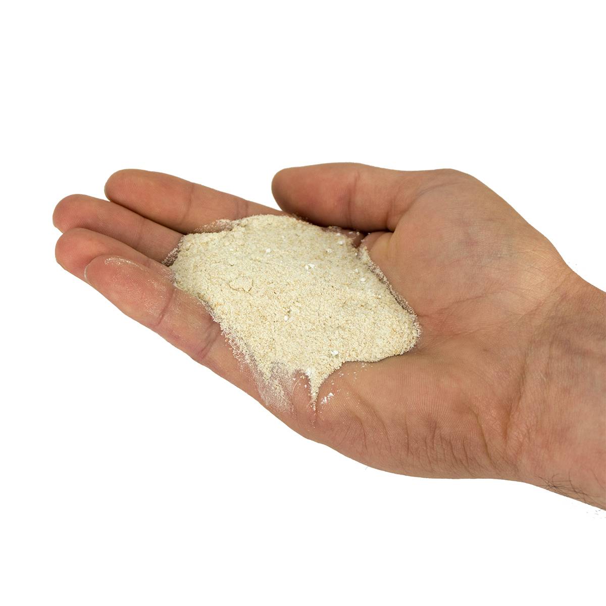 Josh's Frogs Hydei Fruit Fly Media