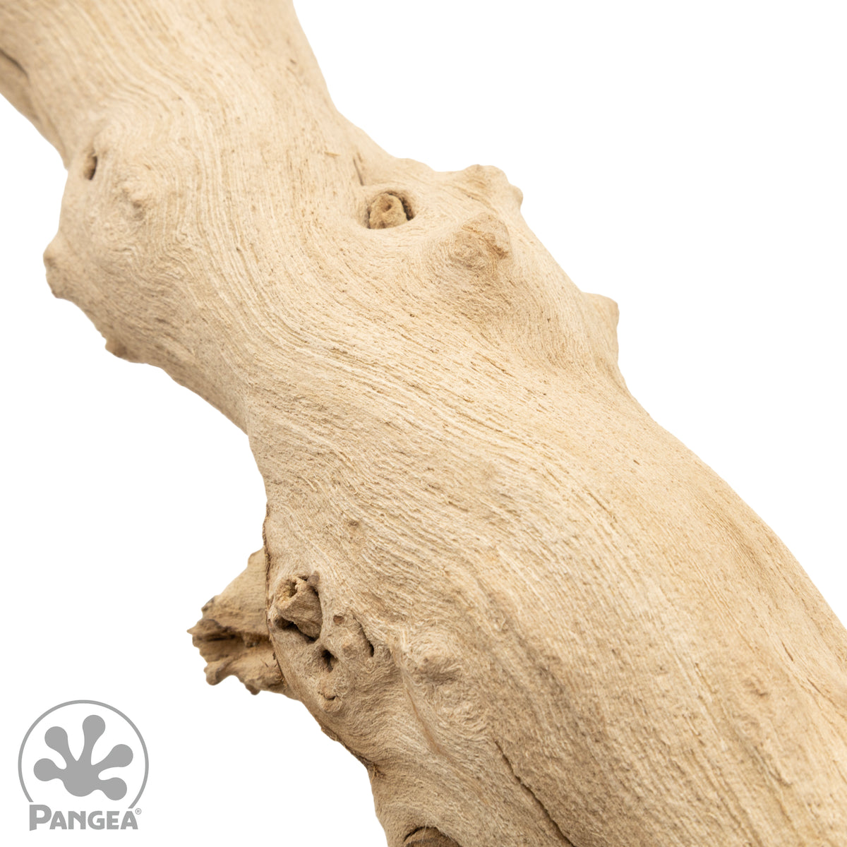 Pangea Sandblasted Grapevine