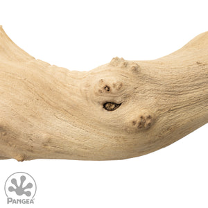 Pangea Sandblasted Grapevine