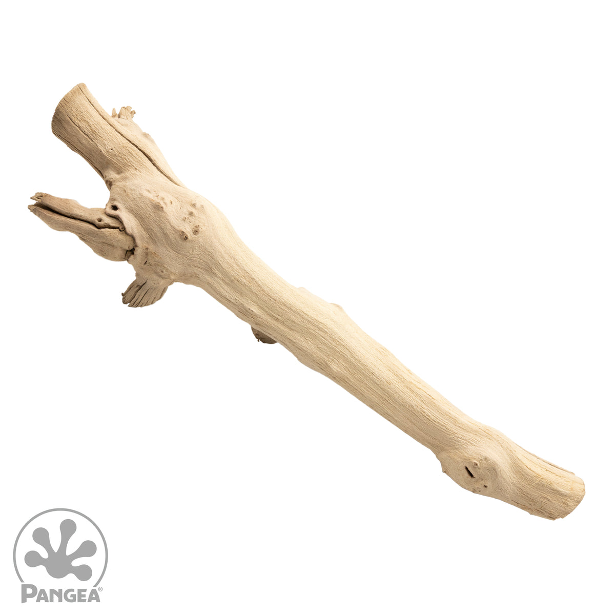 Piece of sandblasted grapevine wood on a white background with a trademarked Pangea logo