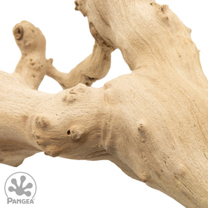 Close up of sandblasted grapevine wood with a trademarked Pangea logo on a white background