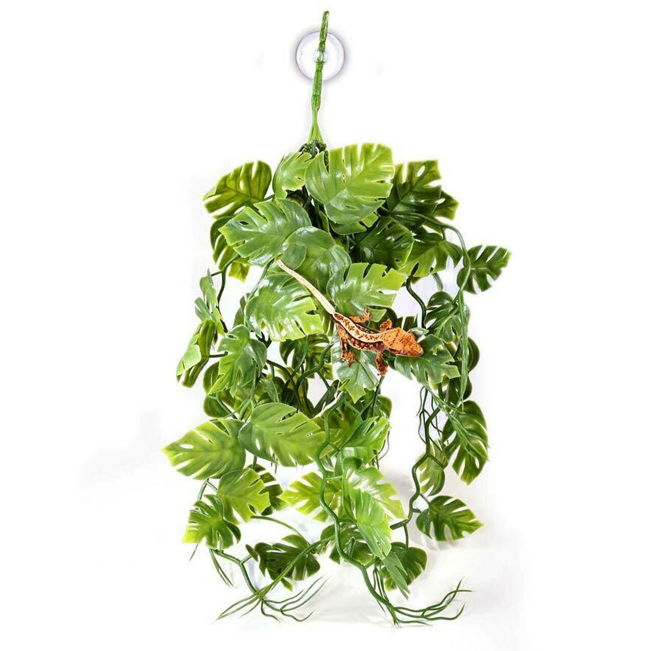 plastic plants for reptiles Pangea Plants | Green | Pangea Reptile