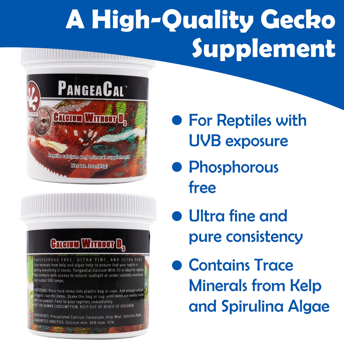 PangeaCal Calcium without D3