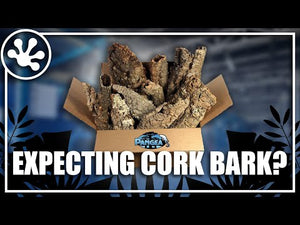 Pangea Cork Bark Rounds