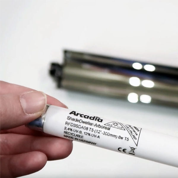 Arcadia ShadeDweller ProT5 Replacement Bulb | Pangea Reptile