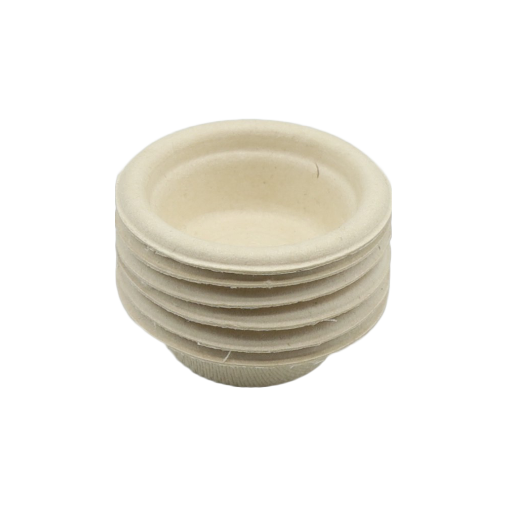 Small pangea reptile paper gecko feeding cups isolated on a white background