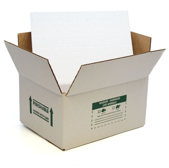 12x9x6 Insulated Shipping Box