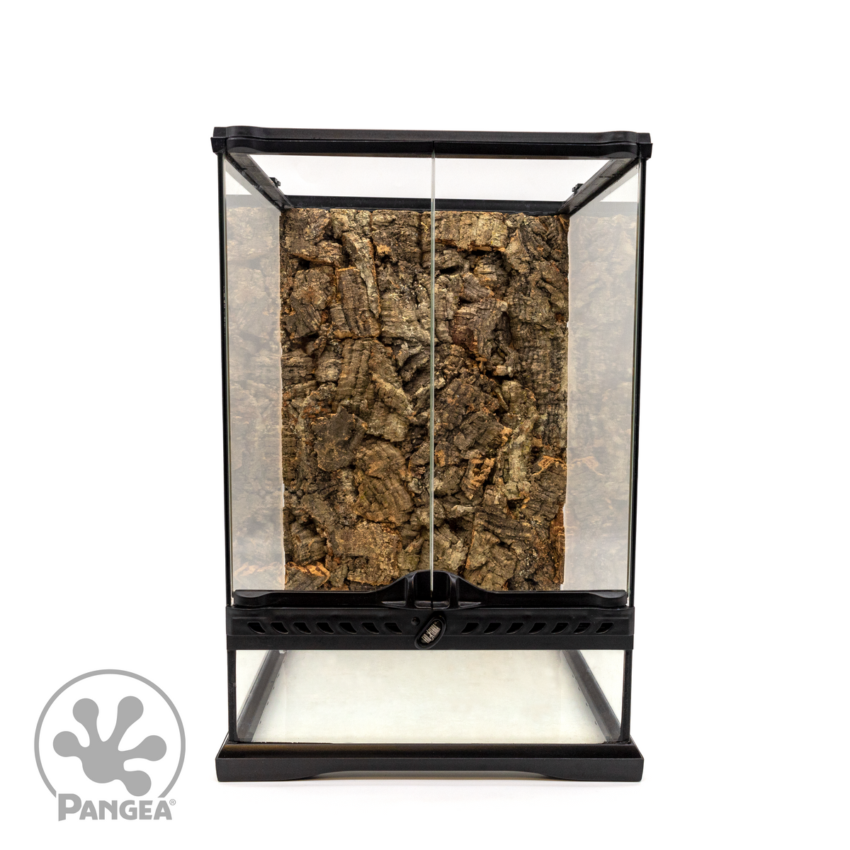 Pangea Cork Background - 12x12x18 in an enclosure.