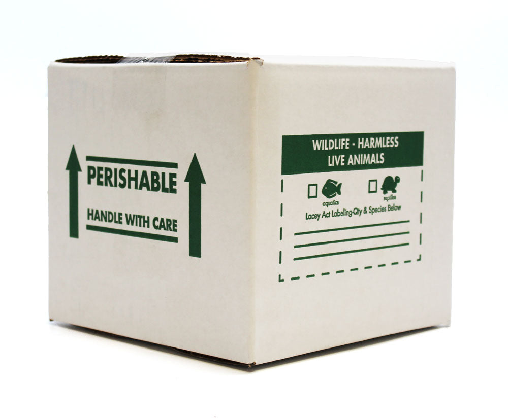 Insulating boxes - Other packaging products