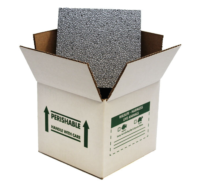 7x7x6 Insulated Shipping Box