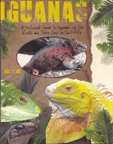 A Pictorial Guide to Iguanas of the World and Their Care in
